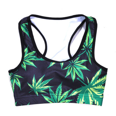 Bra, Underwear, Sports Bra Collection